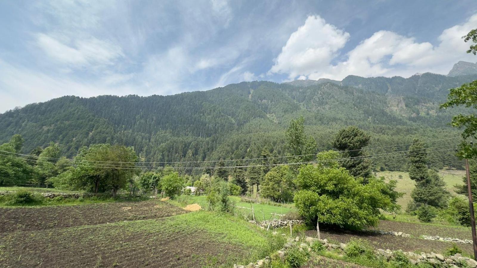 Farm stay Hill
