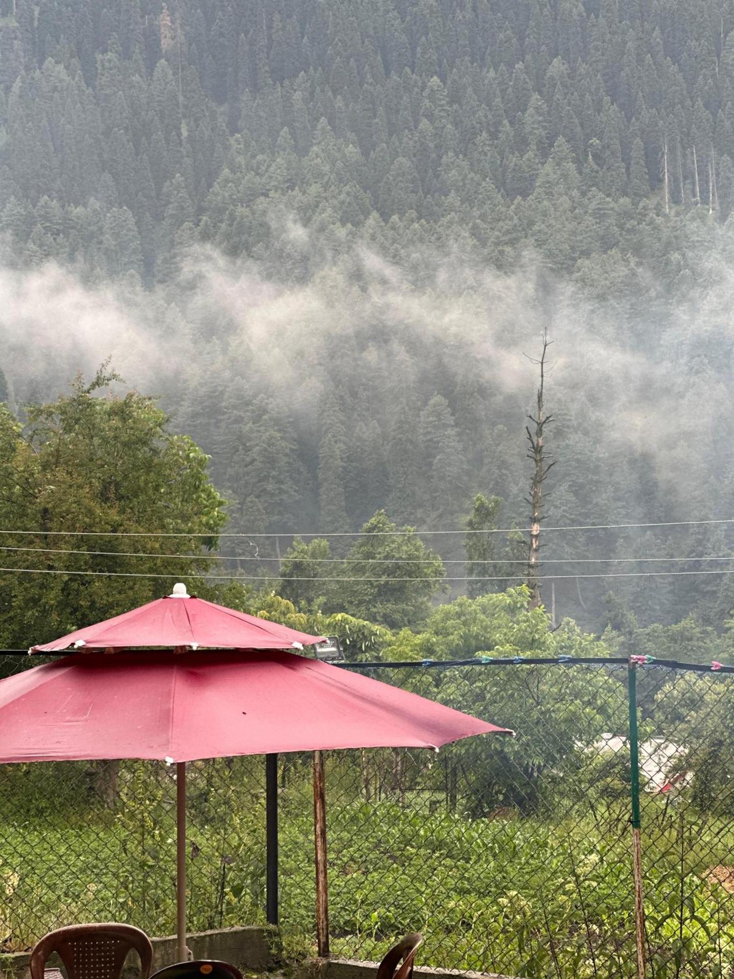 Hill Pahalgam